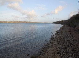 Willoughby 01